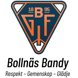 BollnasBandy-RGG-S__1_